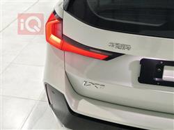 بی ئێم دەبڵیو iX1